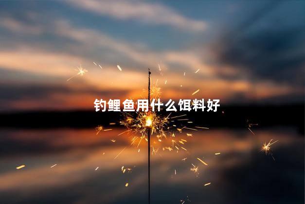 钓鲤鱼用什么饵料好