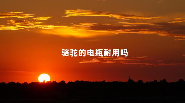 骆驼的电瓶耐用吗